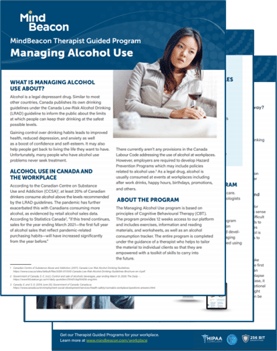 Alcohol Brochure Visual